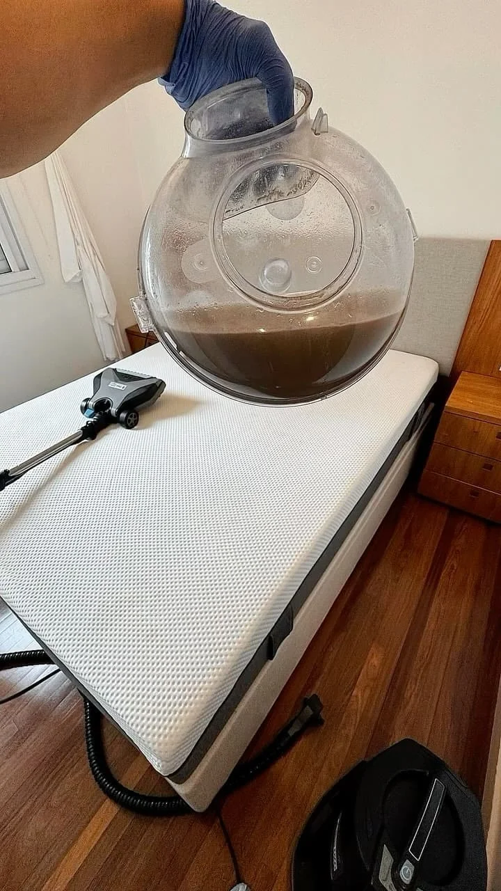 Profissional da Clean Ozo higienizando colchão com equipamento Rainbow em São Paulo